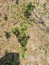 팜모닝 자유주제·건의해요 게시글 이미지