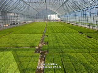 양배추20452님의 자유주제 · 자유게시판 작성글 사진