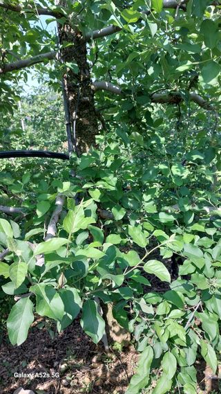 철희님의 자유주제 · 사진전 작성글 사진