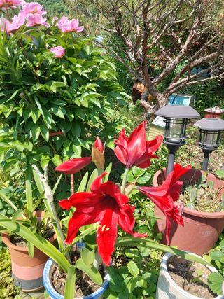 청주 미원 최재수님의 자유주제 · 자유게시판 작성글 사진