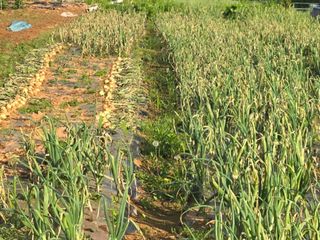 김세리님의 자유주제 · 자유게시판 작성글 사진