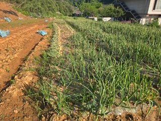 김세리님의 자유주제 · 자유게시판 작성글 사진