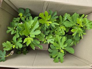 김세리님의 자유주제 · 자유게시판 작성글 사진