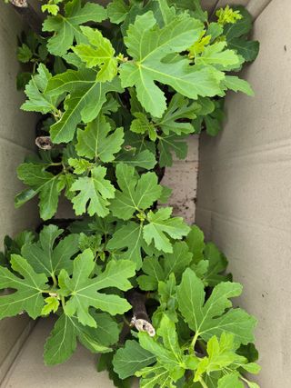 김세리님의 자유주제 · 자유게시판 작성글 사진