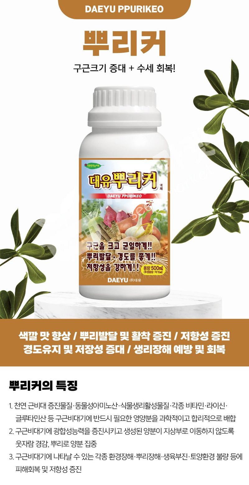 산들마켓,씨앗마켓님의 장터 판매 상품 [대유 뿌리커 500ml 구근 비대제 마늘 양파 감자 고구마 뿌리발근제 영양제] 첨부 사진
