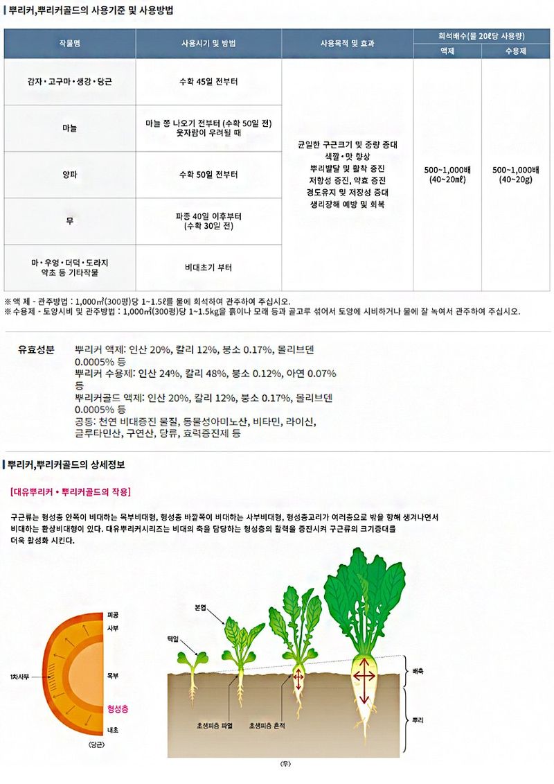 산들마켓,씨앗마켓님의 장터 판매 상품 [대유 뿌리커골드 1L 구근 비대제 감자 고구마 마늘 양파 구근 영양제] 첨부 사진