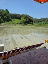 팜모닝 자유주제·자유게시판 게시글 이미지