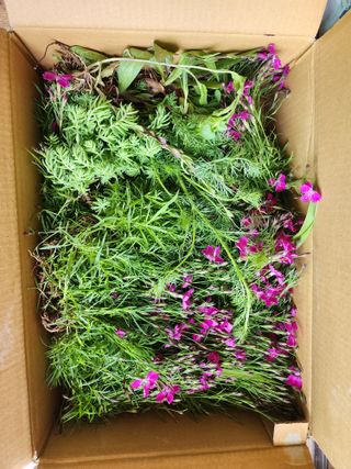 권지연.옥천.님의 자유주제 · 자유게시판 작성글 사진