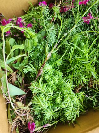 권지연.옥천.님의 자유주제 · 자유게시판 작성글 사진