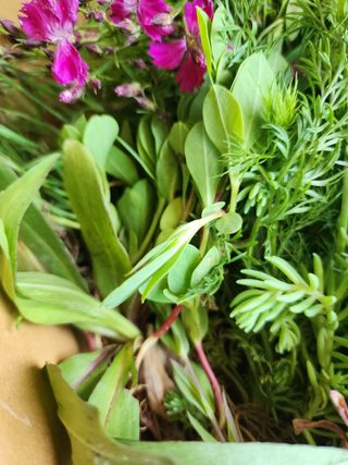 권지연.옥천.님의 자유주제 · 자유게시판 작성글 사진