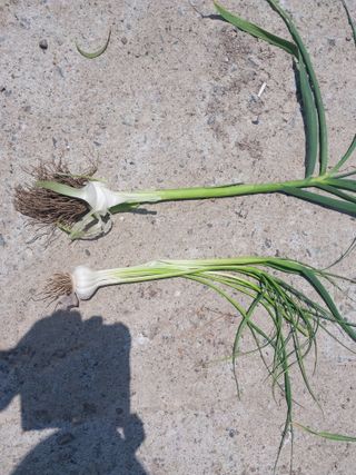 낙동강변님의 자유주제 · 자유게시판 작성글 사진