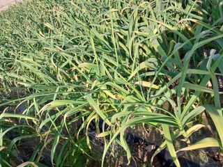 낙동강변님의 자유주제 · 자유게시판 작성글 사진