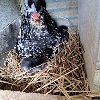 bpjh9173님의 자유주제 · 사진전 작성글 사진