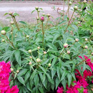 bpjh9173님의 자유주제 · 사진전 작성글 사진