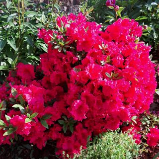 bpjh9173님의 자유주제 · 사진전 작성글 사진