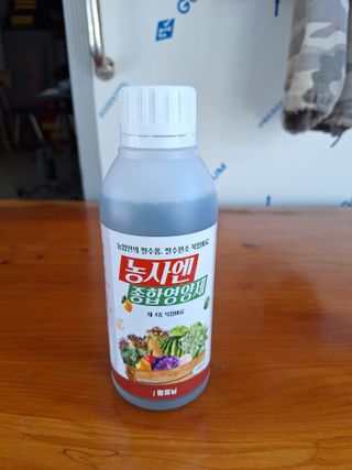 박수천님의 딸기 · 병해충상담 작성글 사진