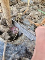 팜모닝 자유주제·자유게시판 게시글 이미지