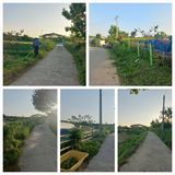 팜모닝 자유주제·자유게시판 게시글 이미지