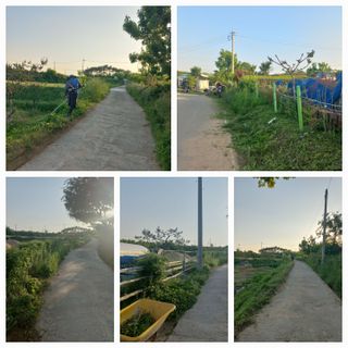 고랑이랑 임수연님의 자유주제 · 자유게시판 작성글 사진