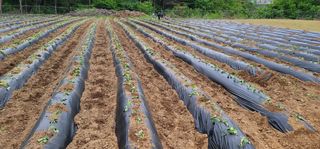 정귀원님의 자유주제 · 자유게시판 작성글 사진