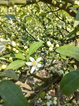 팜모닝 자유주제·사진전 게시글 이미지