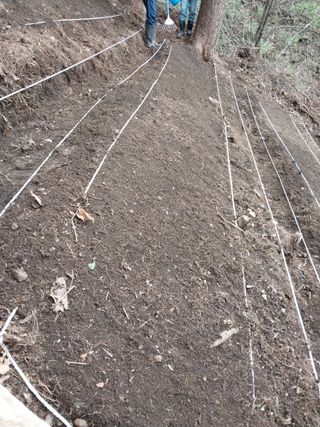 김동호님의 자유주제 · 자유게시판 작성글 사진