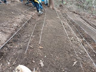 김동호님의 자유주제 · 자유게시판 작성글 사진