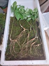 팜모닝 자유주제·자유게시판 게시글 이미지