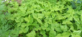 사과15865김도화님의 자유주제 · 사진전 작성글 사진