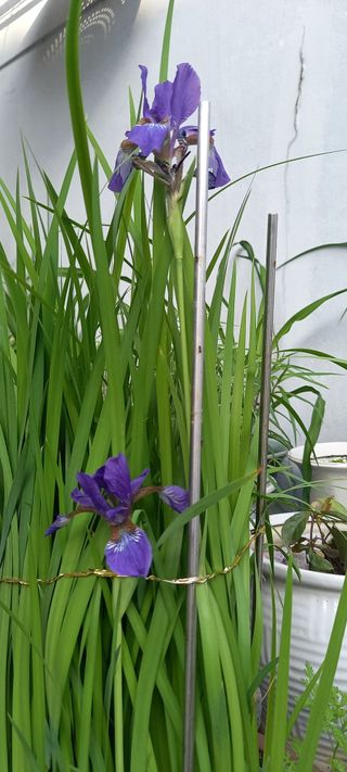 사과15865김도화님의 자유주제 · 사진전 작성글 사진