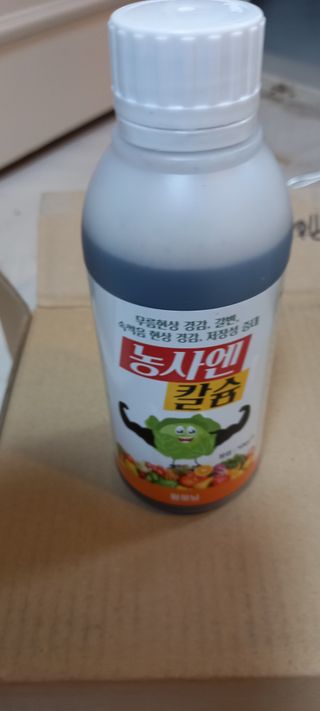 사과15865김도화님의 자유주제 · 사진전 작성글 사진