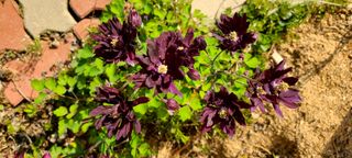 최영희님의 자유주제 · 자유게시판 작성글 사진