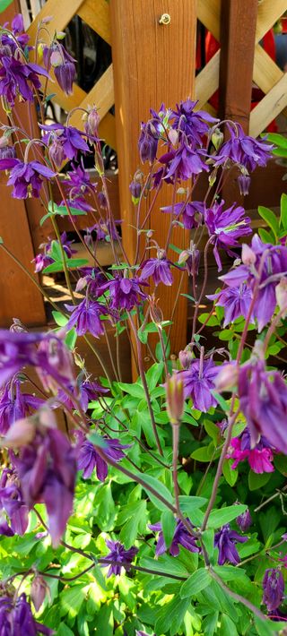 최영희님의 자유주제 · 자유게시판 작성글 사진