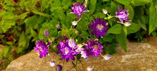 최영희님의 자유주제 · 자유게시판 작성글 사진