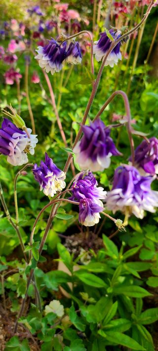 최영희님의 자유주제 · 자유게시판 작성글 사진