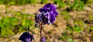 최영희님의 자유주제 · 자유게시판 작성글 사진