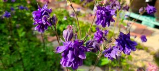 최영희님의 자유주제 · 자유게시판 작성글 사진