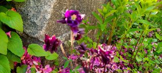 최영희님의 자유주제 · 자유게시판 작성글 사진