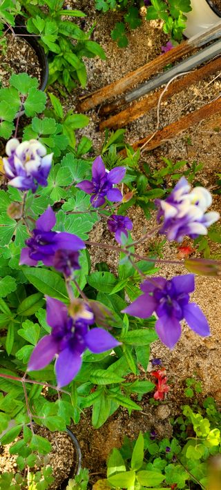 최영희님의 자유주제 · 자유게시판 작성글 사진