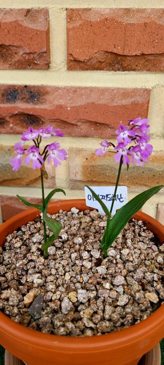 최영희님의 자유주제 · 자유게시판 작성글 사진