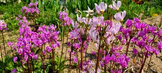 최영희님의 자유주제 · 자유게시판 작성글 사진