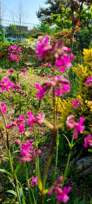 최영희님의 자유주제 · 자유게시판 작성글 사진