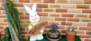 최영희님의 자유주제 · 자유게시판 작성글 사진