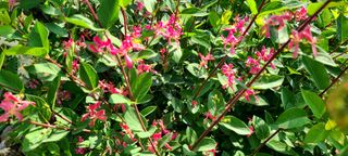 최영희님의 자유주제 · 자유게시판 작성글 사진