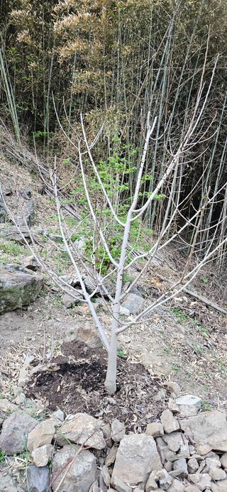 김둘점님의 자유주제 · 자유게시판 작성글 사진