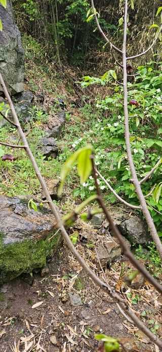 김둘점님의 자유주제 · 자유게시판 작성글 사진