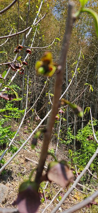 김둘점님의 자유주제 · 자유게시판 작성글 사진