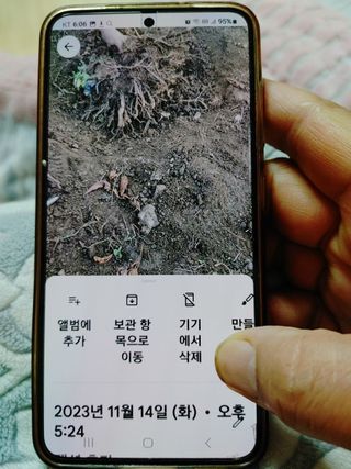 김둘점님의 자유주제 · 자유게시판 작성글 사진
