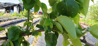 김익중님의 자유주제 · 자유게시판 작성글 사진