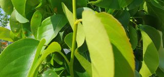 김익중님의 자유주제 · 자유게시판 작성글 사진